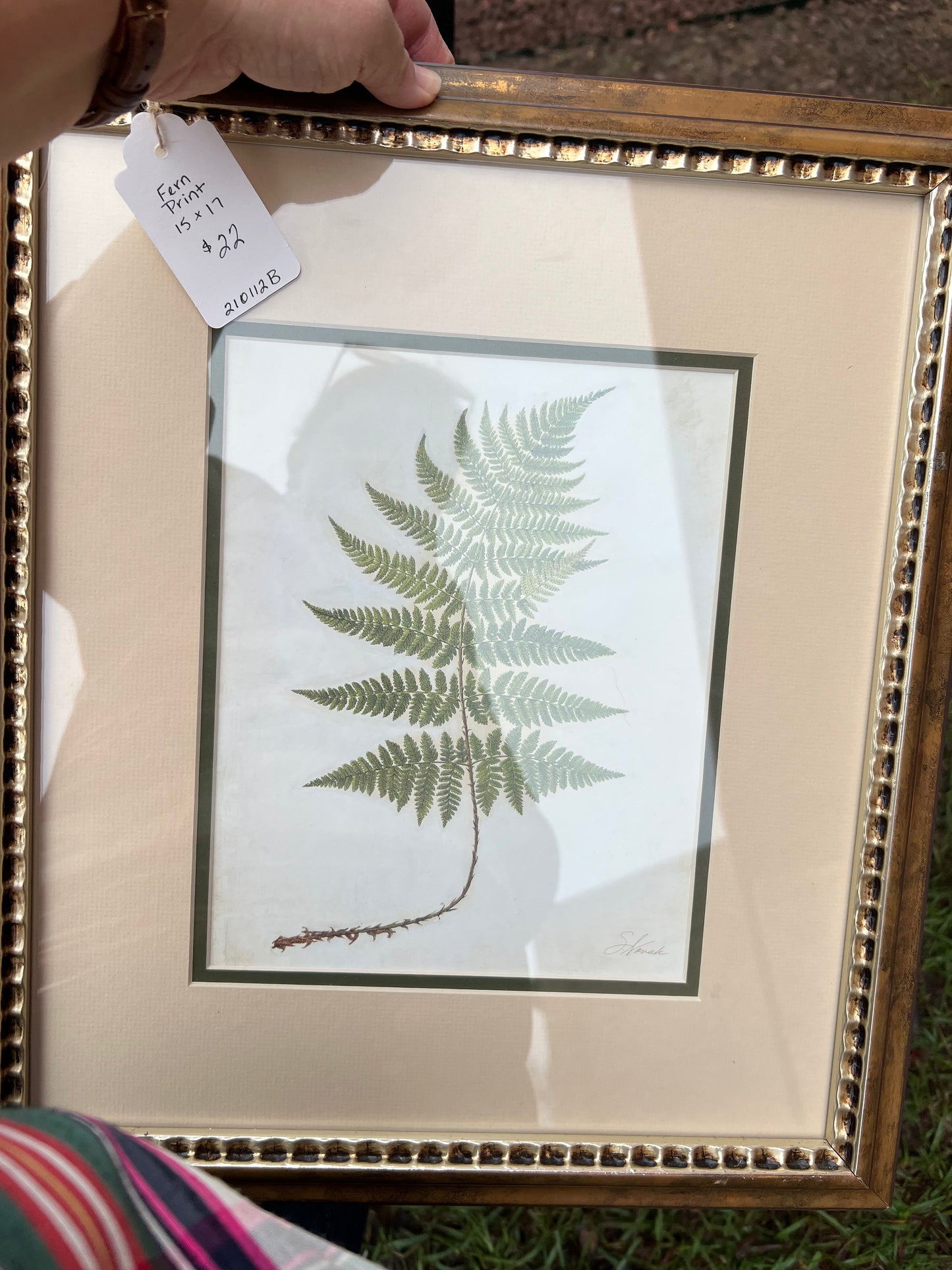 Framed Fern Botanical Print