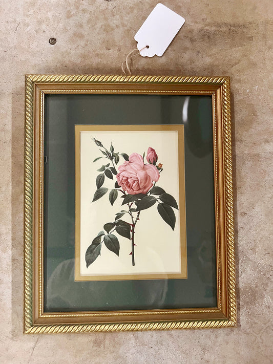 Framed Rose Print with Green Mat