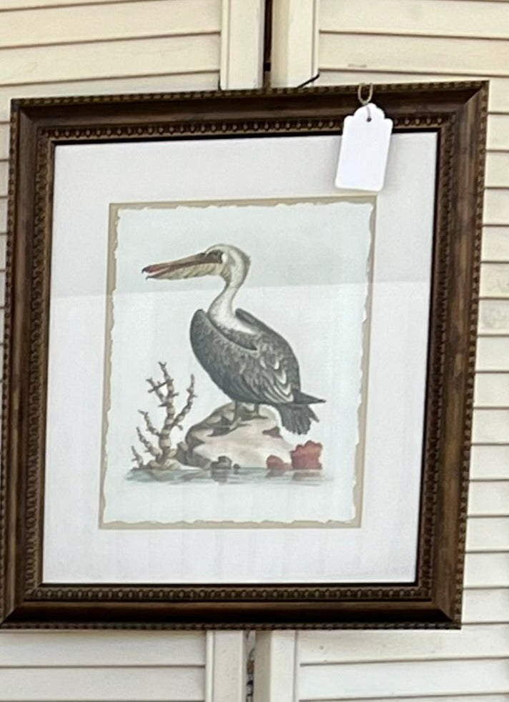 Framed Audubon Bird Prints - 16" x 18"